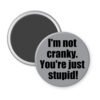 Grey magnet with the text 'I'm not cranky. You're just stupid!' printed in black.
