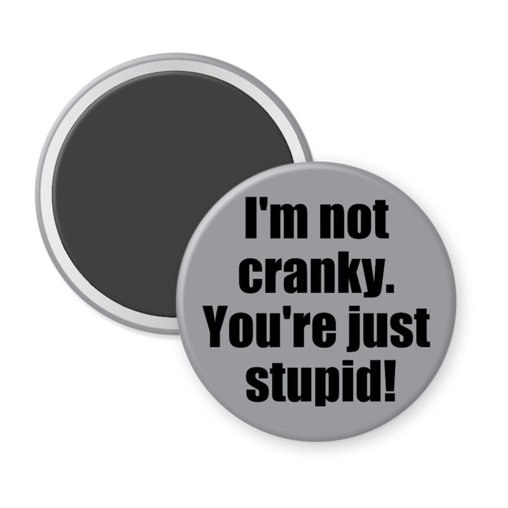 Grey magnet with the text 'I'm not cranky. You're just stupid!' printed in black.