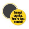 Yellow magnet with the text 'I'm not cranky. You're just stupid!' printed in black.