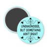 Magnet with text 'undiagnosed, but something ain't right' on a light blue background.