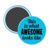 Blue magnet with the text 'This is what AWESOME looks like' printed in black.