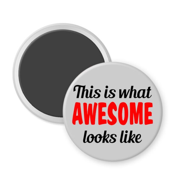 Grey magnet that says "This is what AWESOME looks like"
