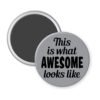 Grey magnet with the text 'This is what AWESOME looks like' printed in black.